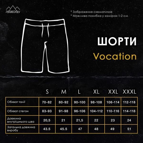 Пляжні шорти Pobedov Vocation Navy Темно-синій, M SObs688db фото