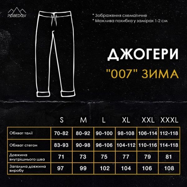 Джогери Pobedov 007 ЗИМА Сталевий, S PNjo1086chklt фото